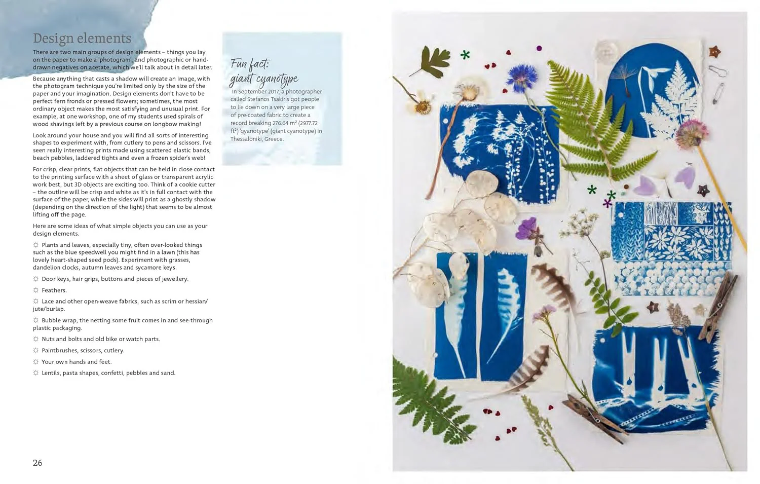 Beginner's Guide to Cyanotype Book - Image 3