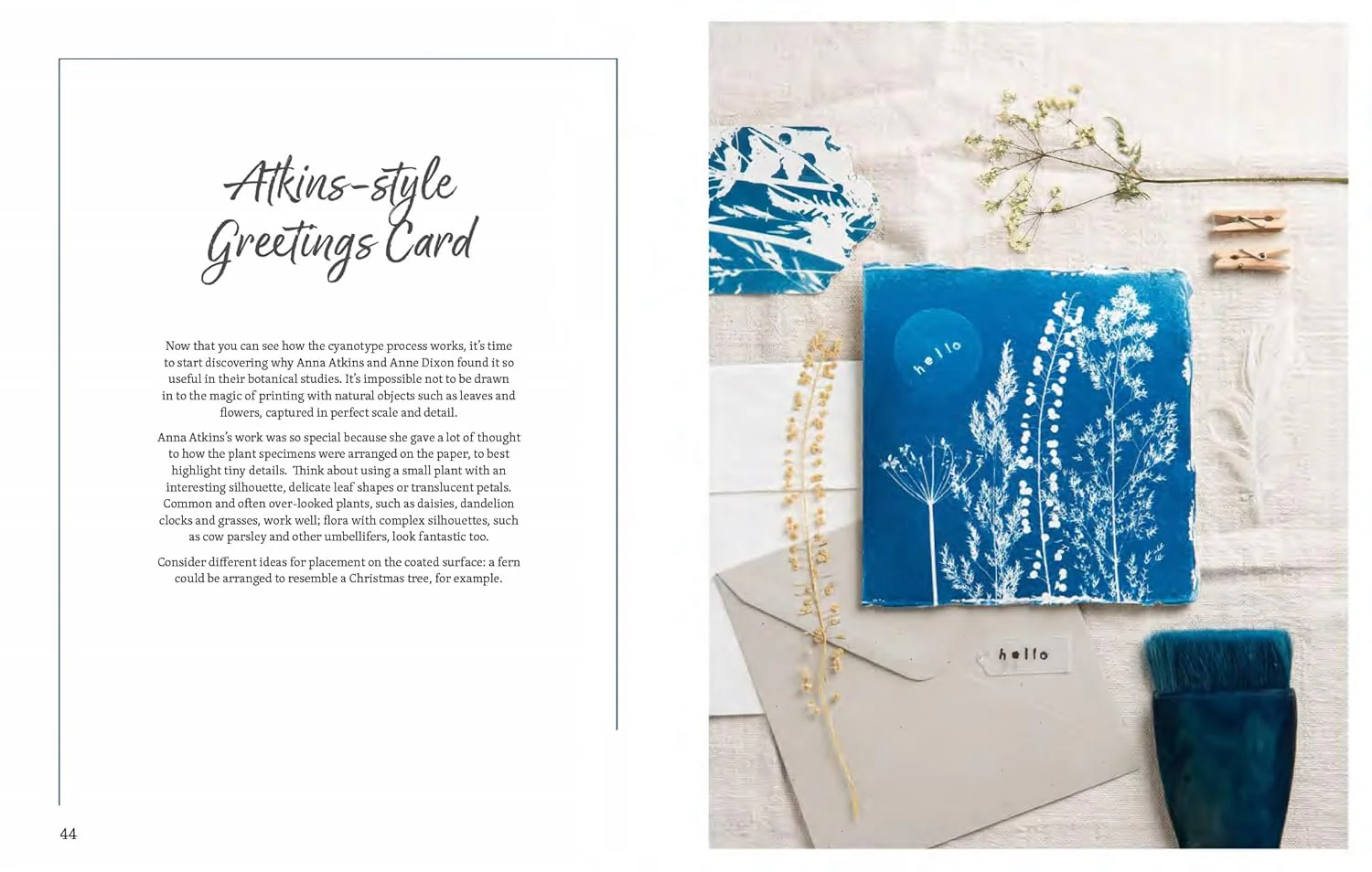 Beginner's Guide to Cyanotype Book - Image 5
