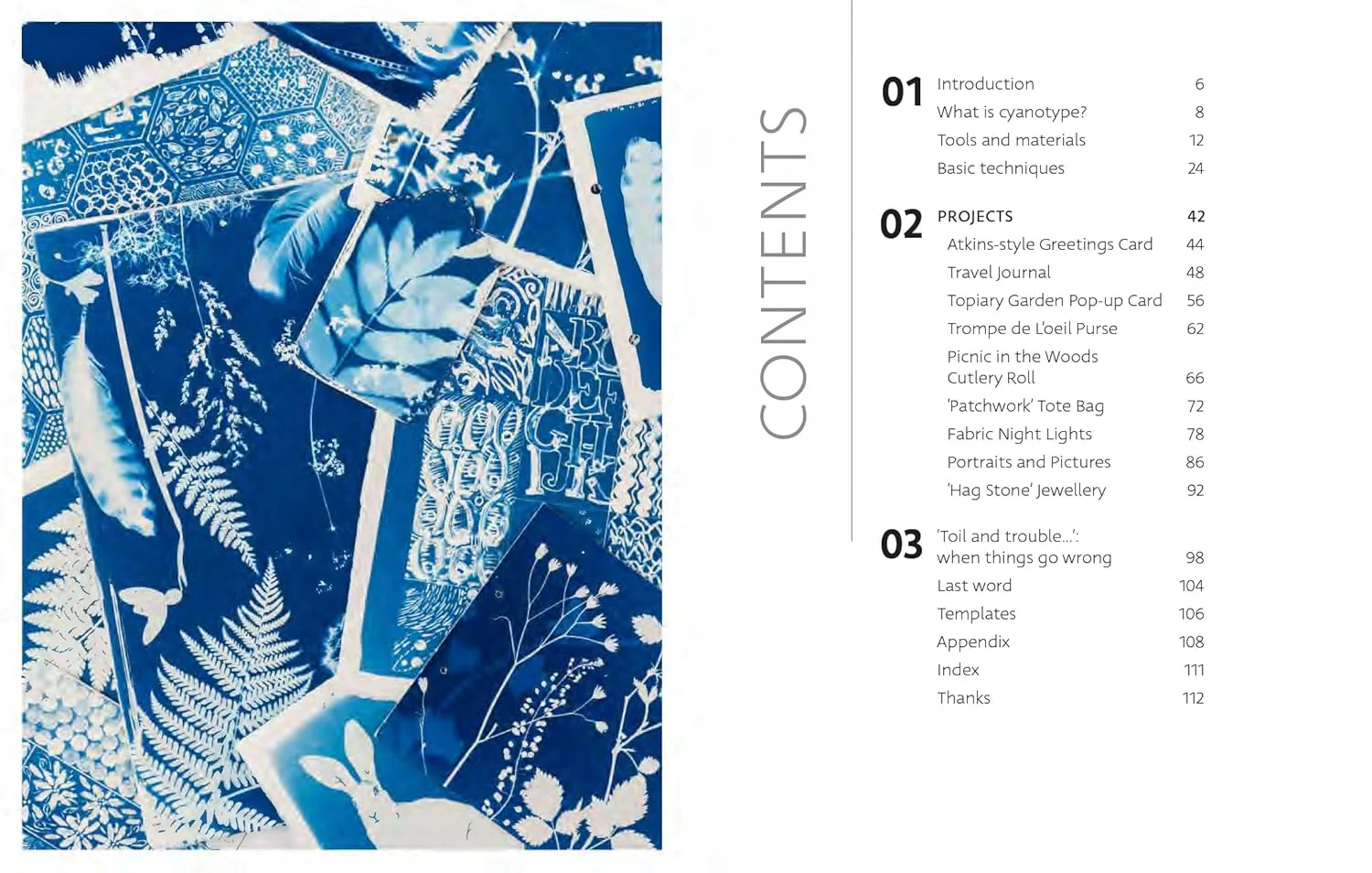 Beginner's Guide to Cyanotype Book - Image 7