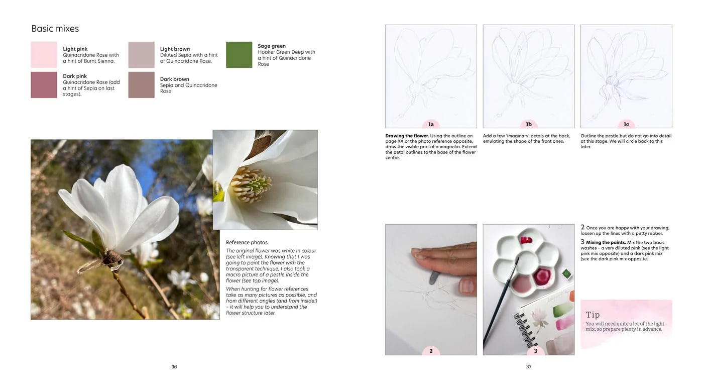 How to Paint Transparent Watercolour Flowers Book - Image 5