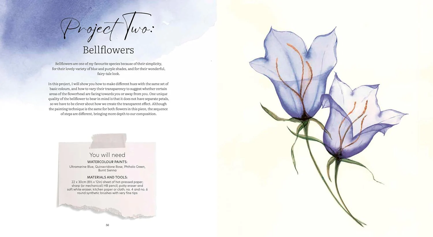 How to Paint Transparent Watercolour Flowers Book - Image 6