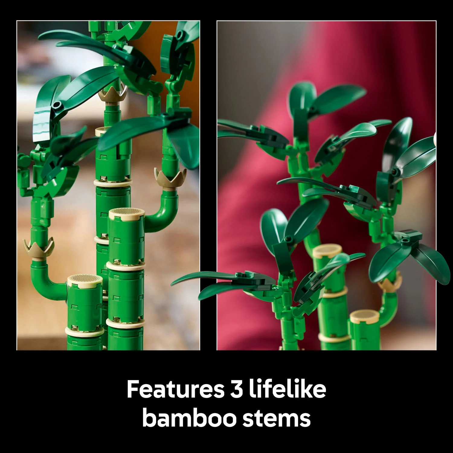 Lego Botanicals - Lucky Bamboo - Image 6