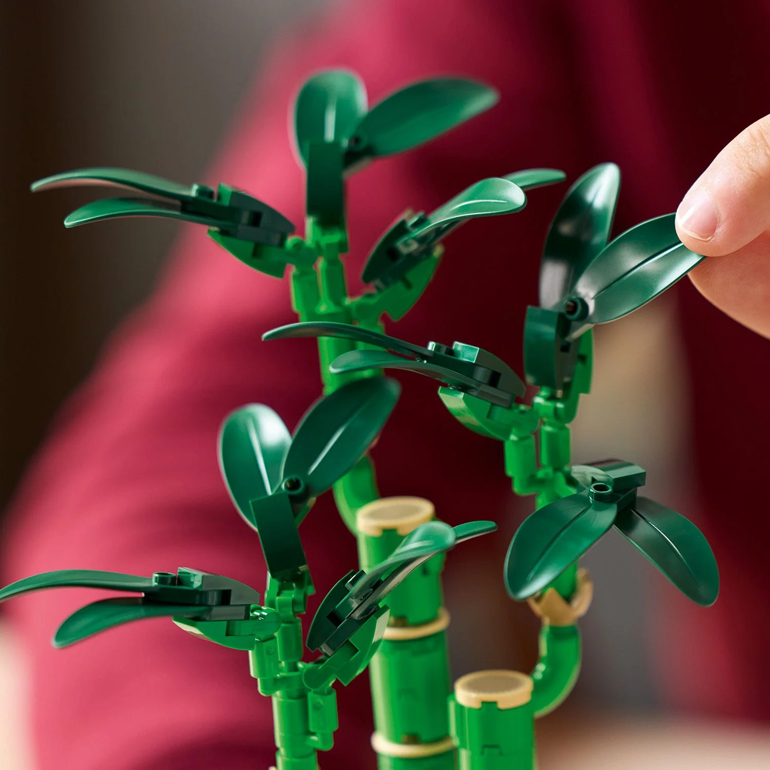 Lego Botanicals - Lucky Bamboo - Image 9