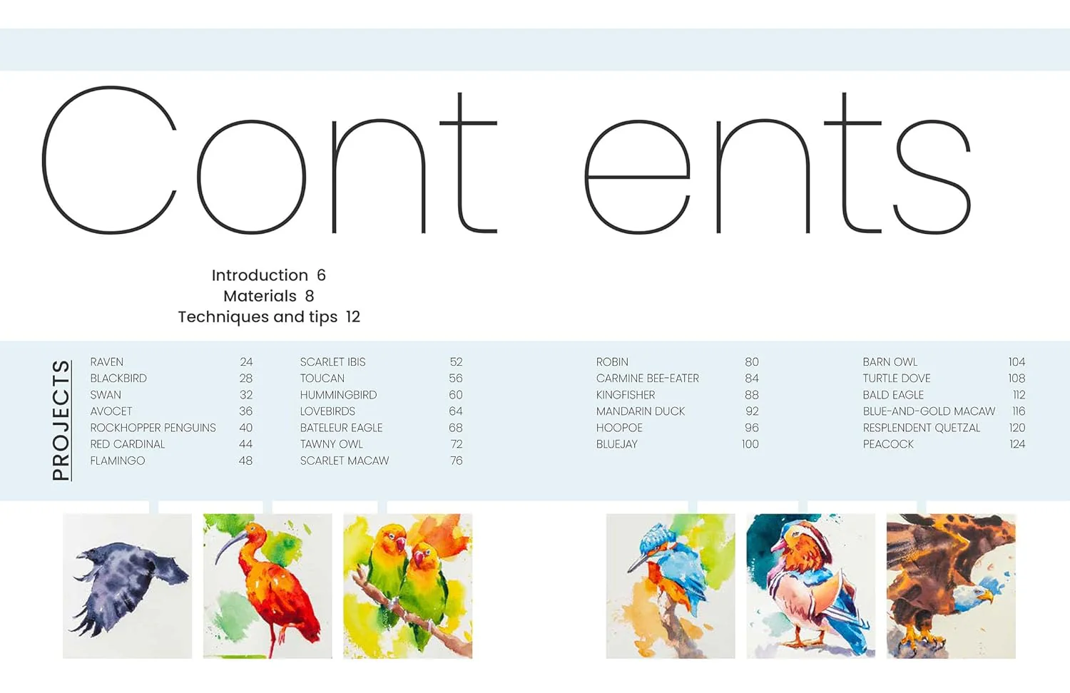 Simply Paint Birds Book - Image 4