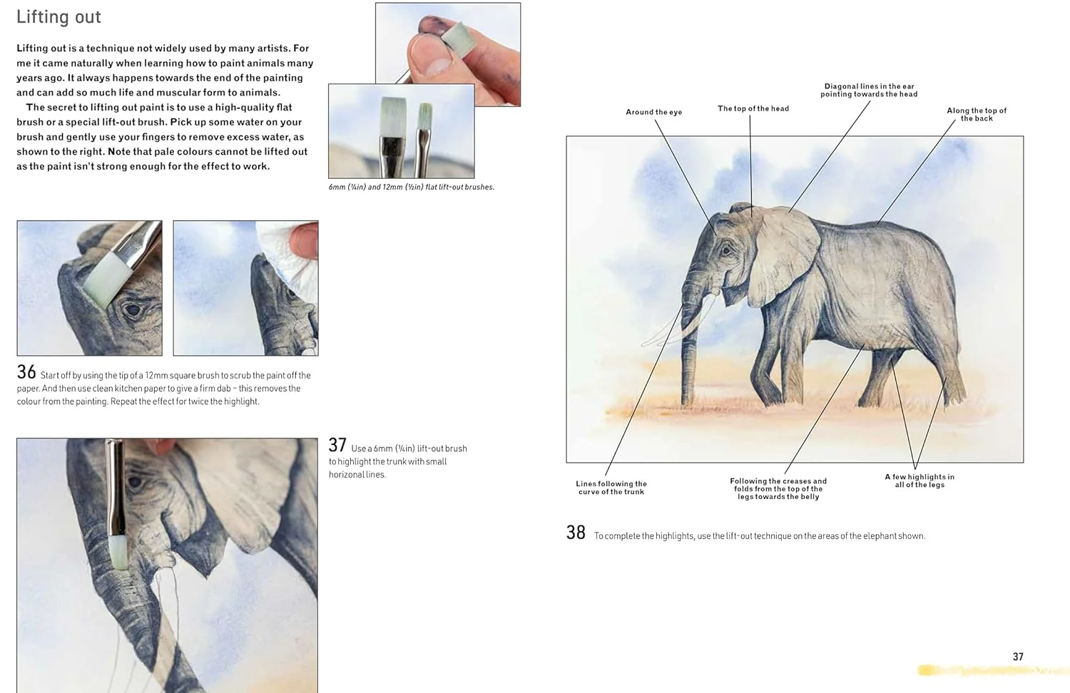 Watercolour Animals for the Absolute Beginner Book - Image 5