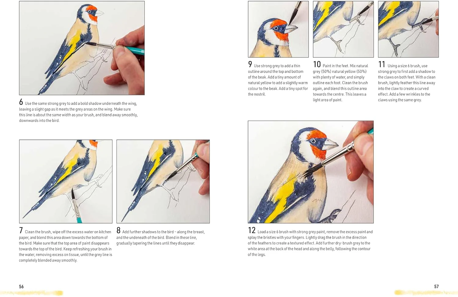 Watercolour Animals for the Absolute Beginner Book - Image 6