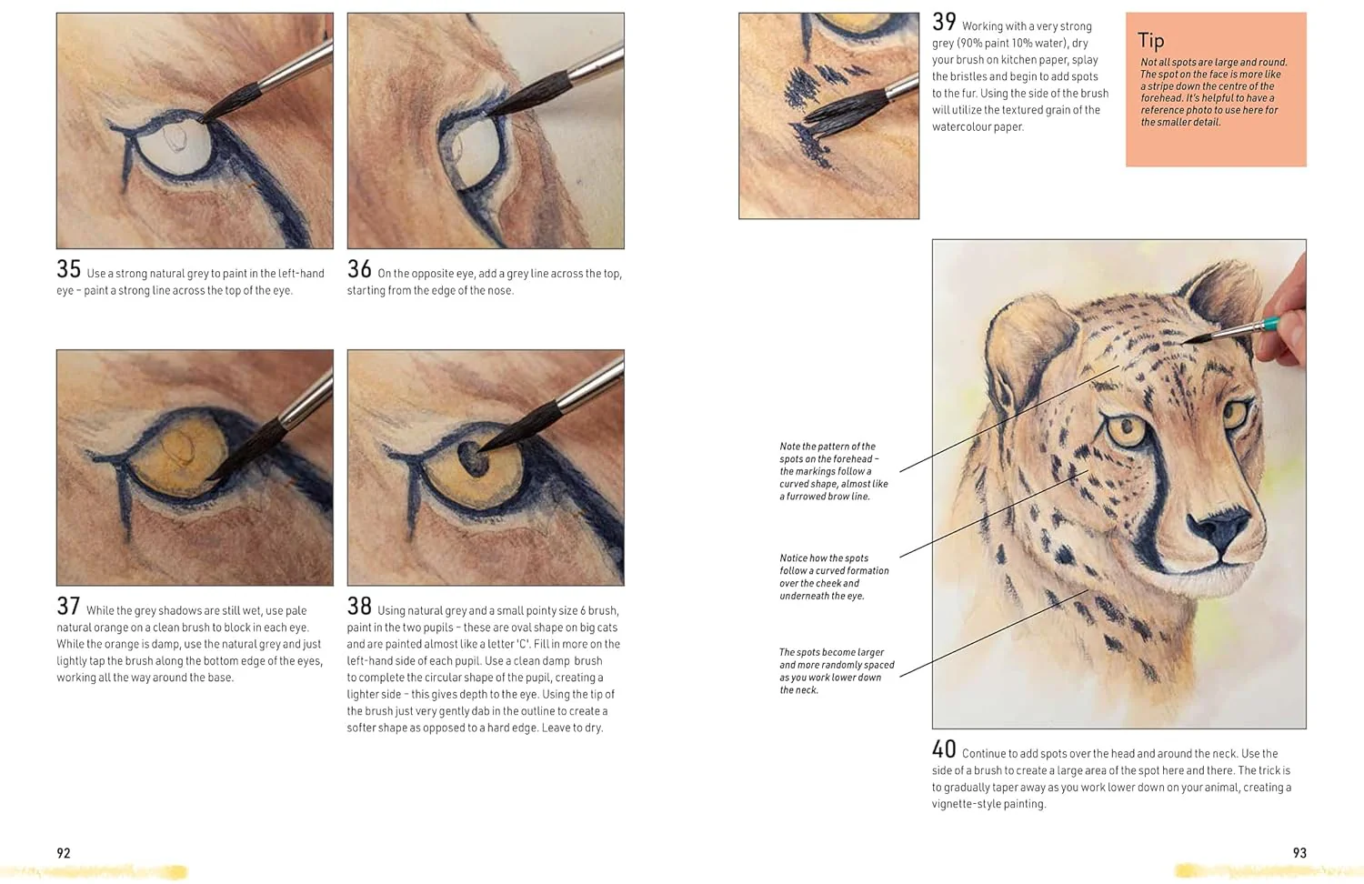 Watercolour Animals for the Absolute Beginner Book - Image 7