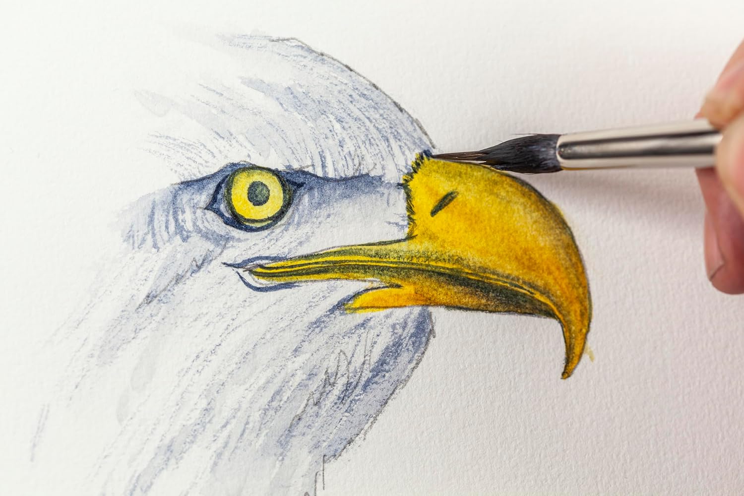Watercolour Animals for the Absolute Beginner Book - Image 8